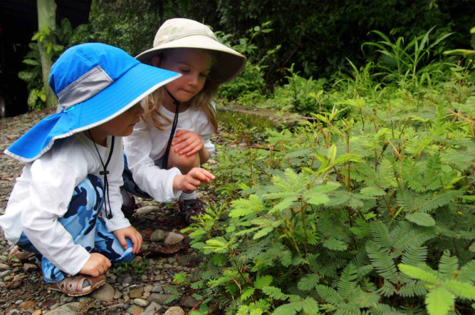 Young children looking at mismosa plants in Costa Rica.