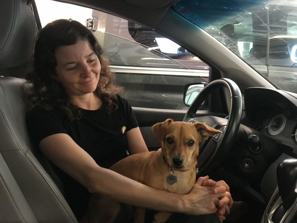 My mom and a small dog sitting in a car, on the ferry.