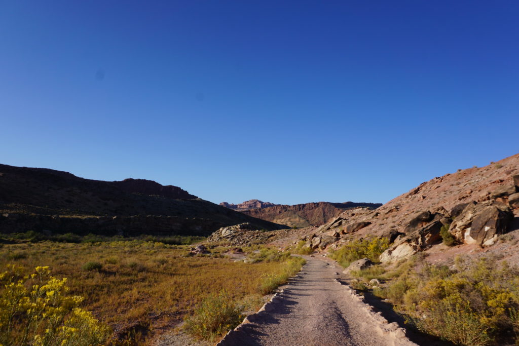 A pathway next to a field of grass and rocks