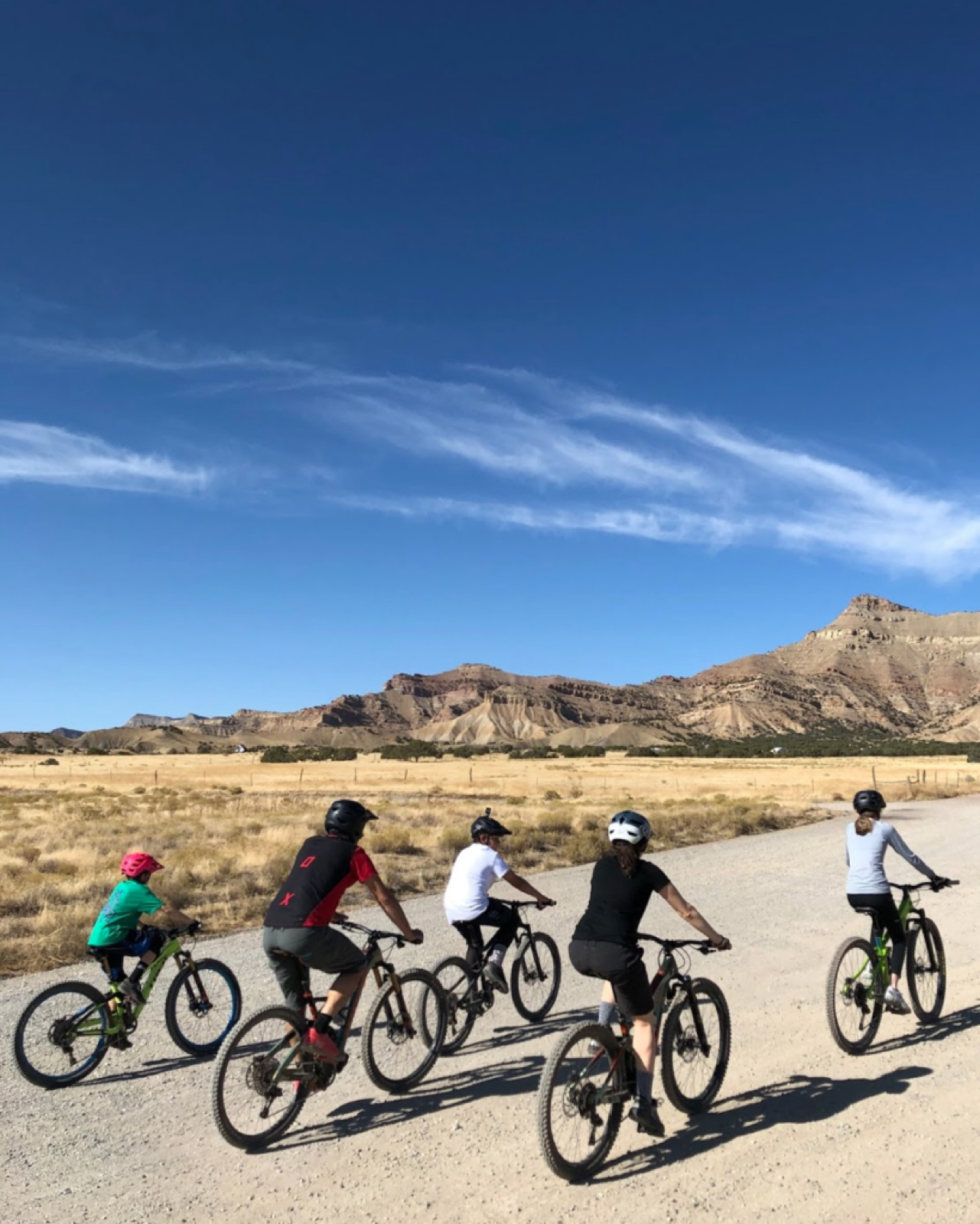 5 people biking on a wide path.