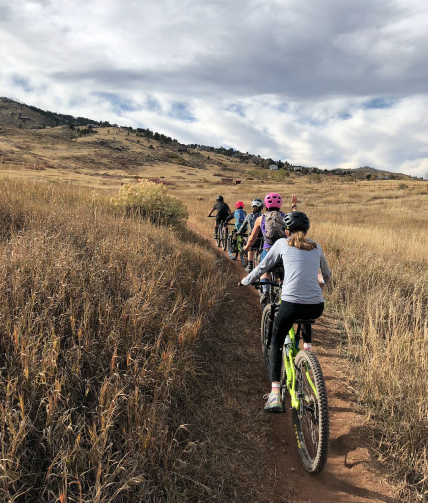 Five people riding their bikes